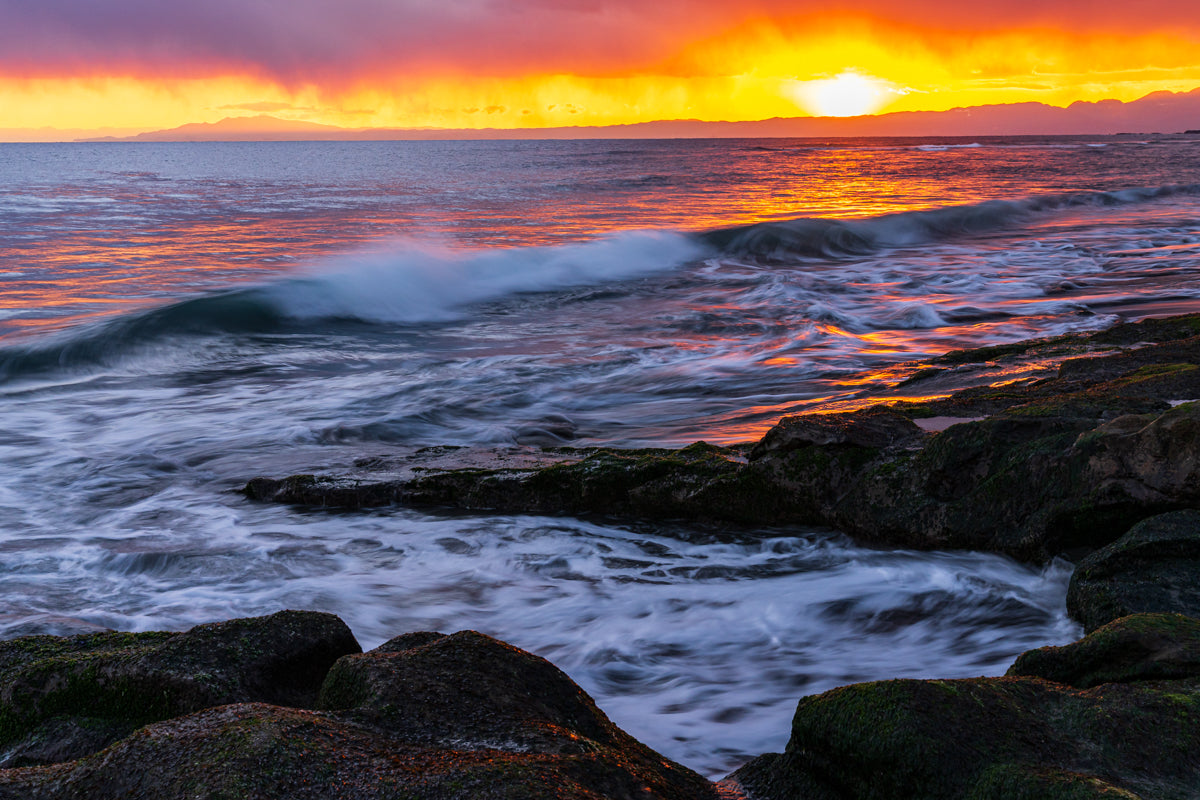 HARMONY OF THE COAST