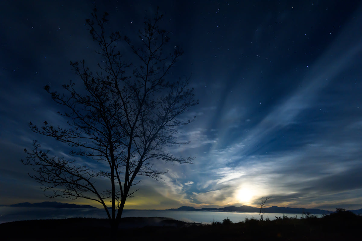 2025年度版カレンダー