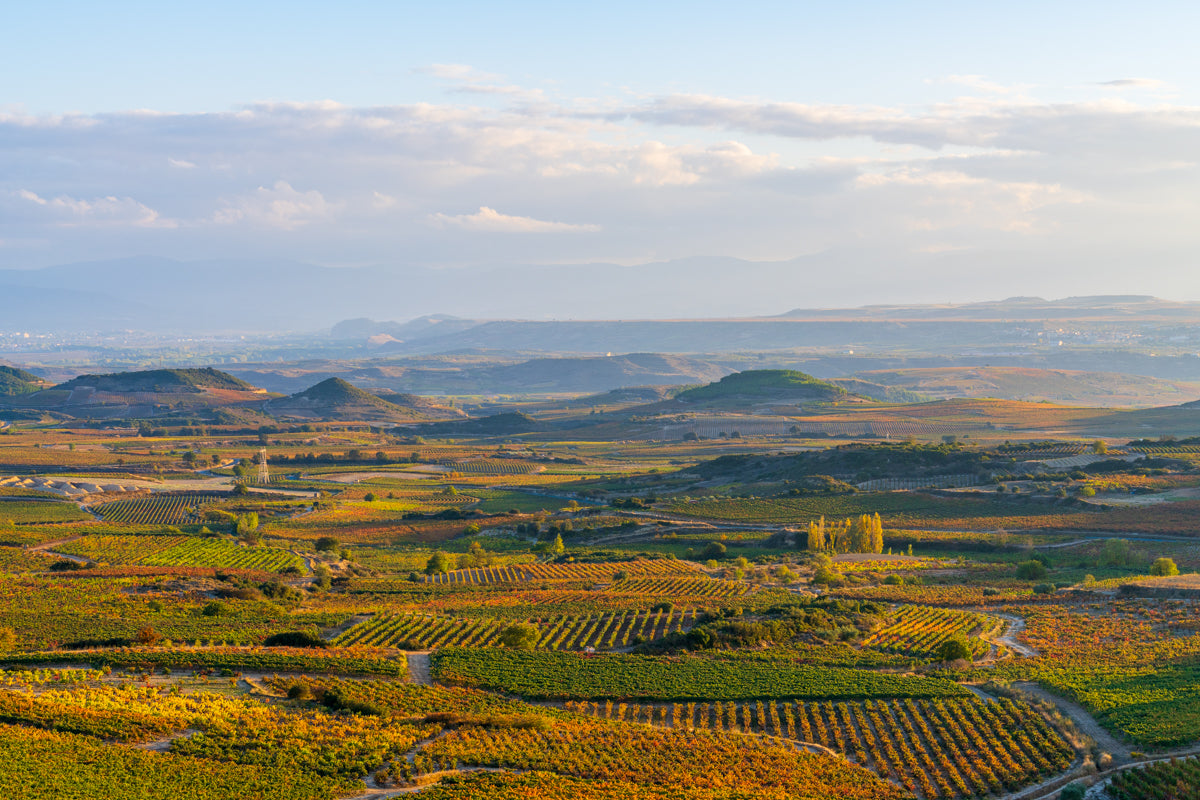 VALLEY OF THE GRAPES