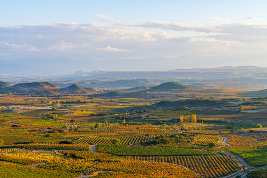 VALLEY OF THE GRAPES