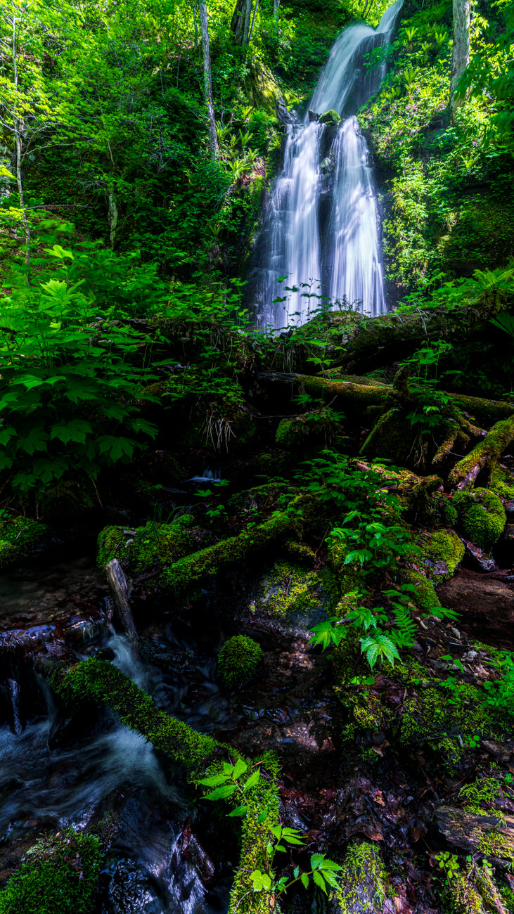 TWIN FALLS