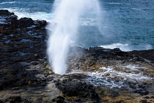 SPOUTING HORN