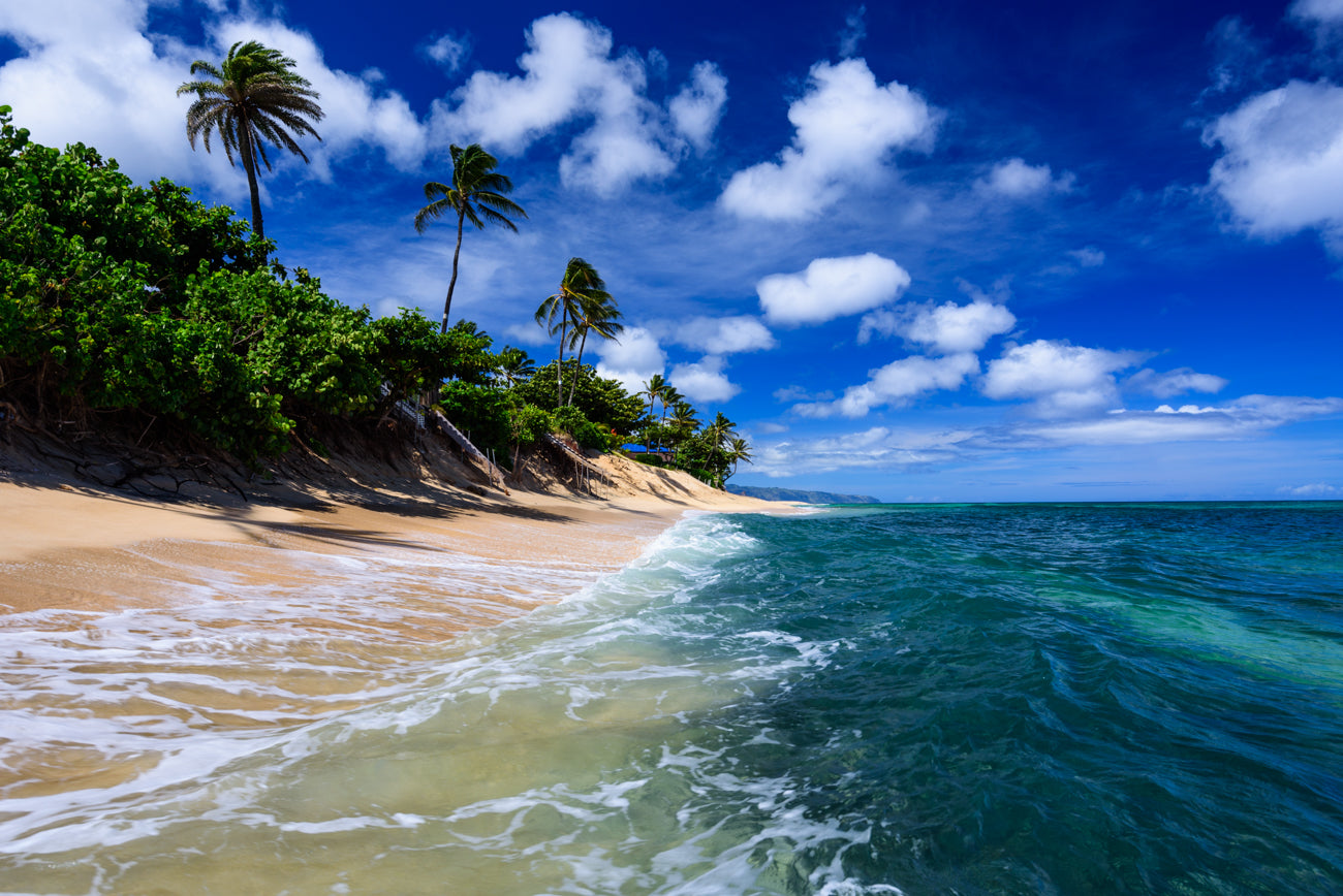 PARADISE