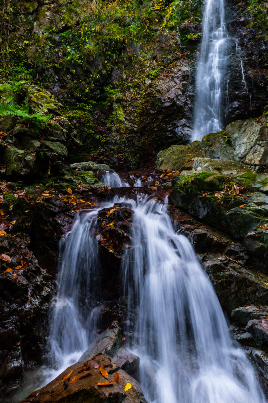 COUNTRYSIDE FALLS