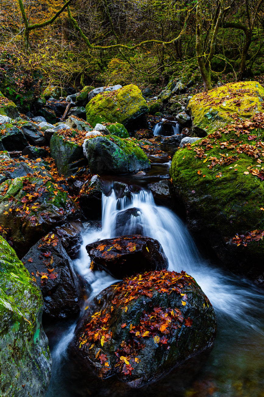 NATURAL FALLS