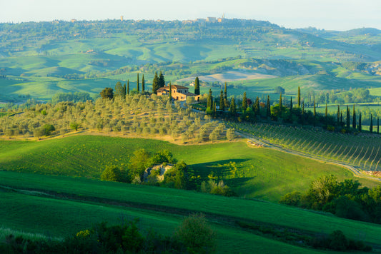 VAL D ORCIA