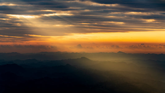 PERFORMANCE OF LIGHT