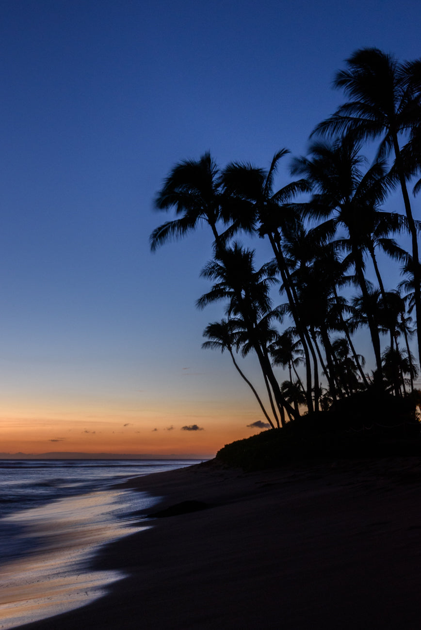 TROPICAL SUNSET Ⅱ