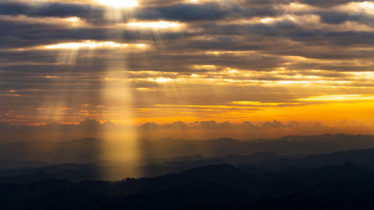 PERFORMANCE OF LIGHT Ⅱ