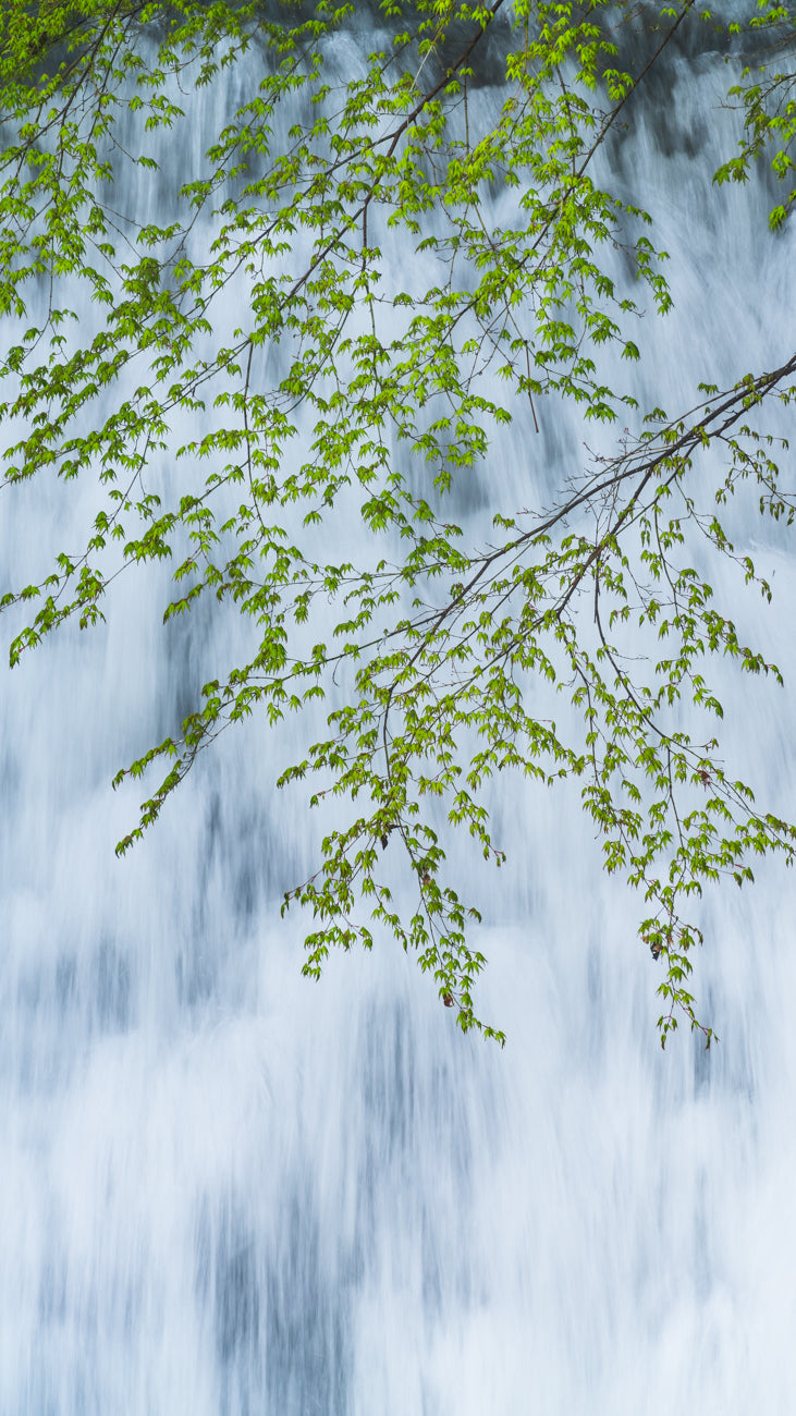 FLOW DOWN