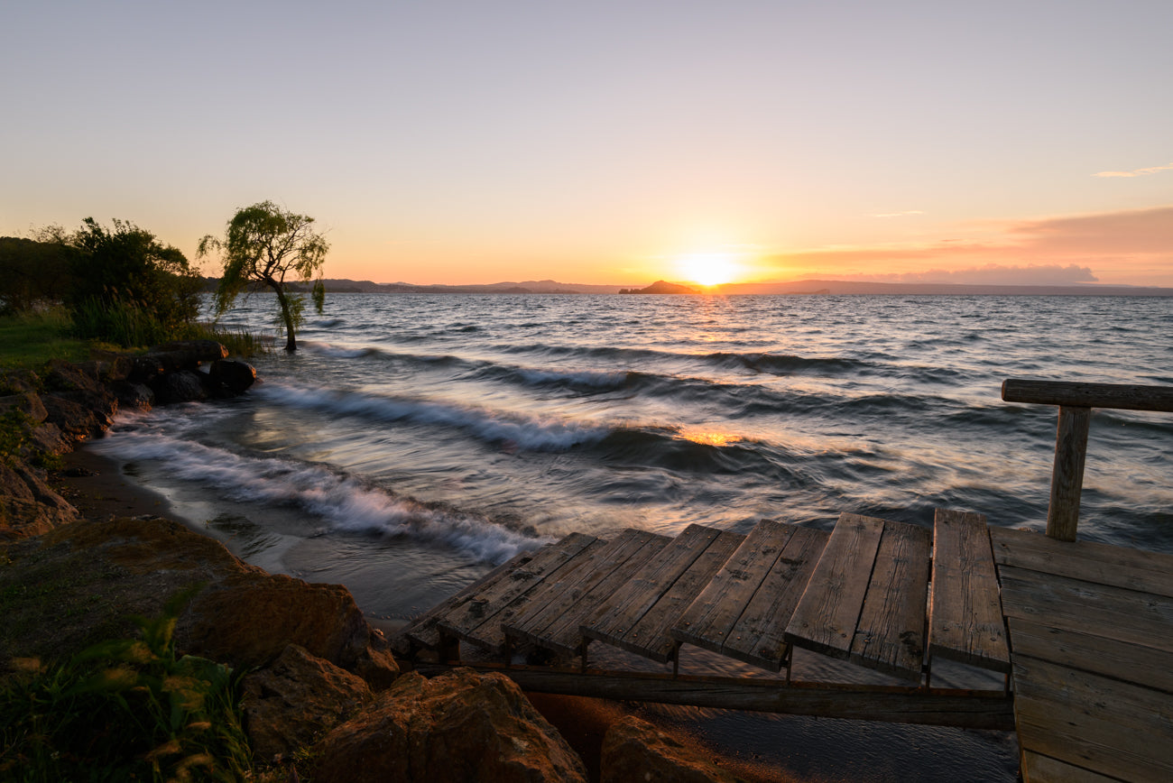SECRET COVE