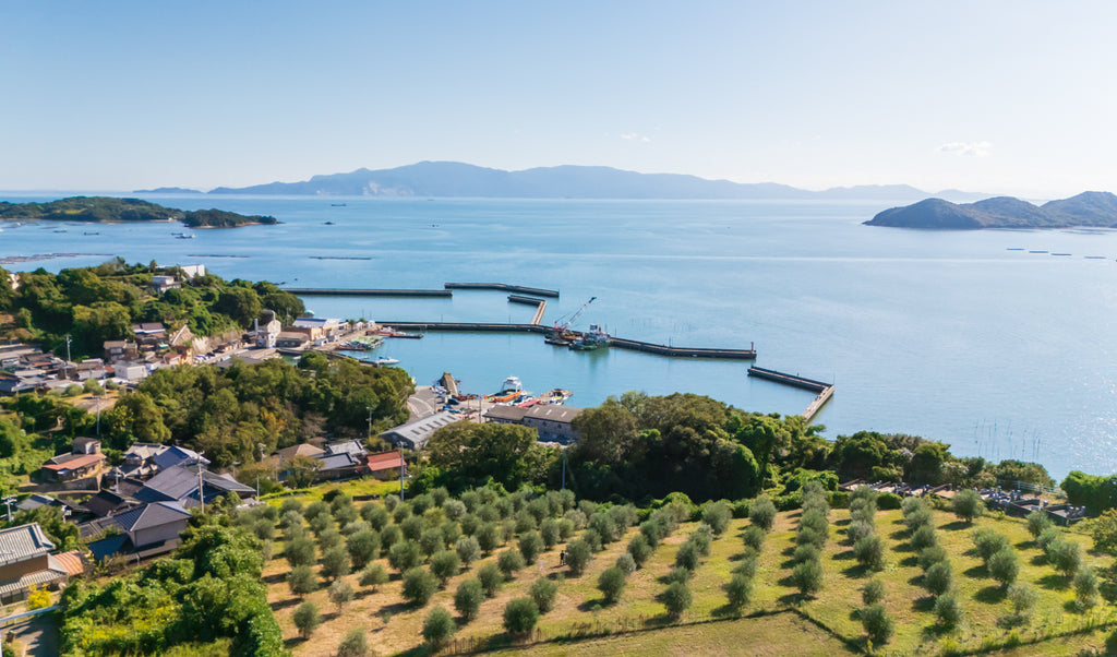 赤澤 恭平_建築・空撮