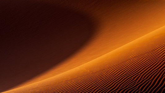 GRAVITY LINES
