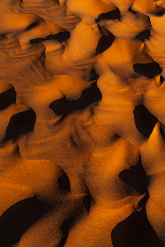 MORPHOLOGY