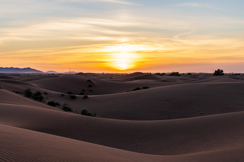 DUNE WAVES