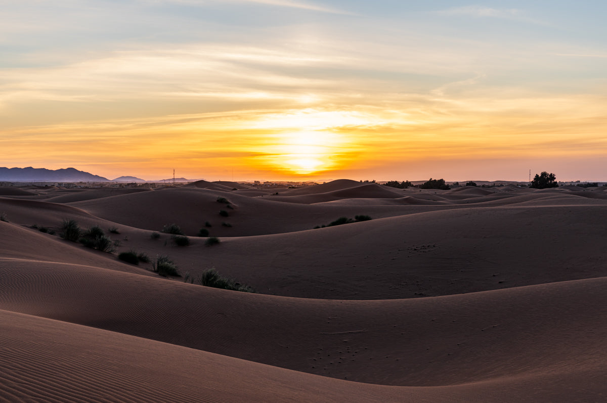 DUNE WAVES