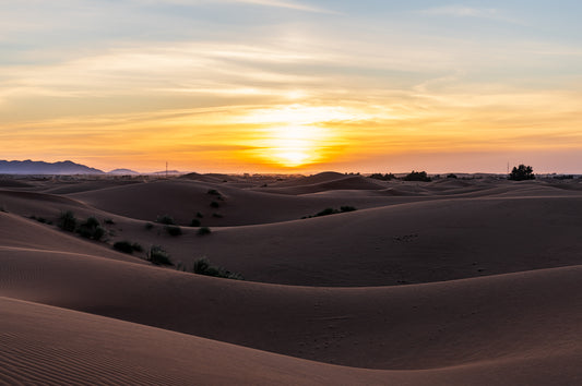 DUNE WAVES