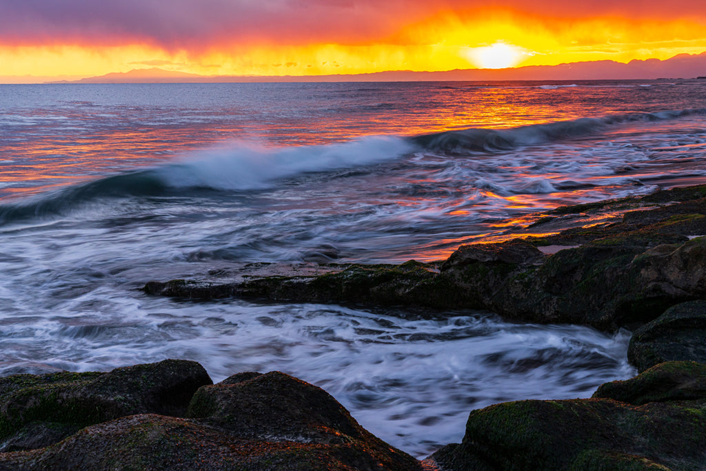 HARMONY OF THE COAST