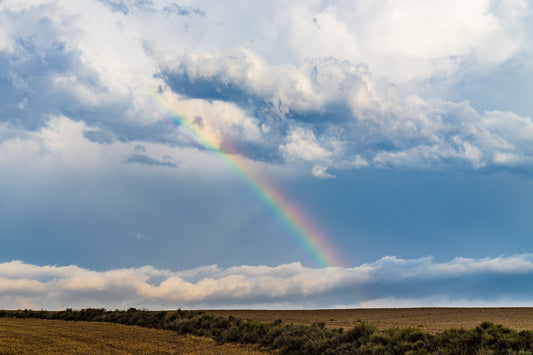 GIFT OF THE RAINSTORM