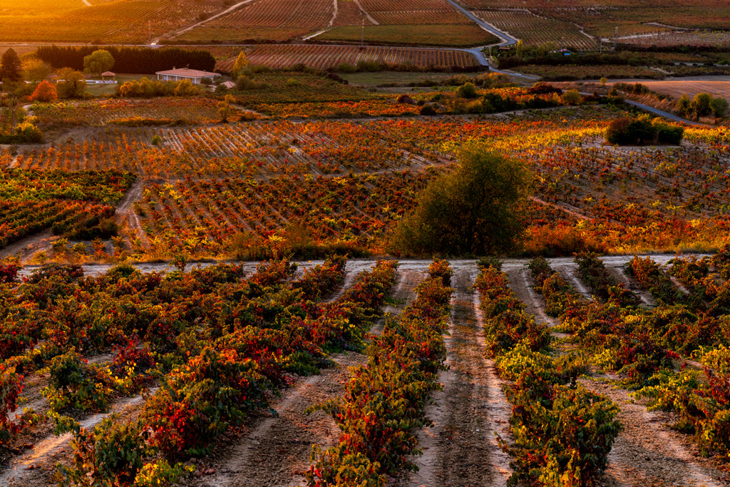 LA RIOJA