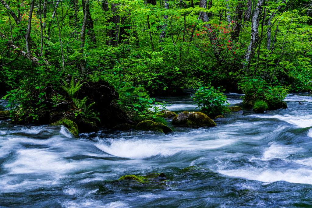 OIRASE GORGE