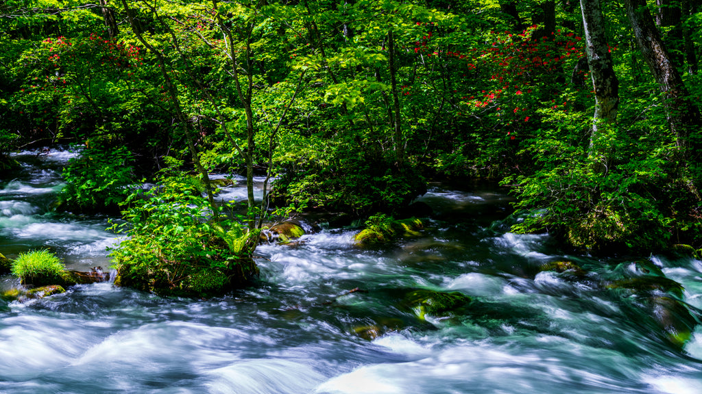 OIRASE GORGE Ⅱ