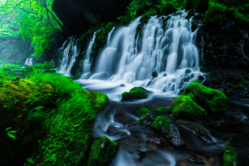 WATER CURTAIN