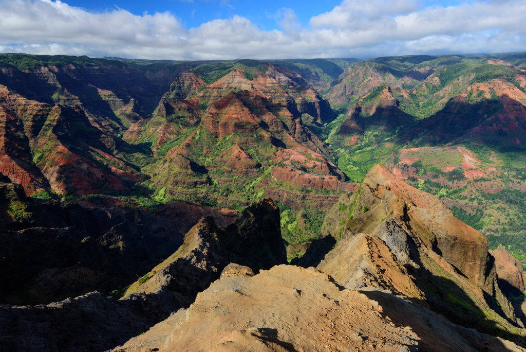 NAKED CANYON Ⅱ