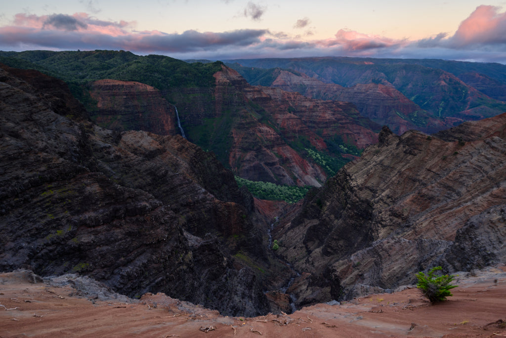NAKED CANYON Ⅲ
