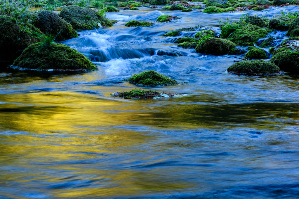 GOLDEN RIVER