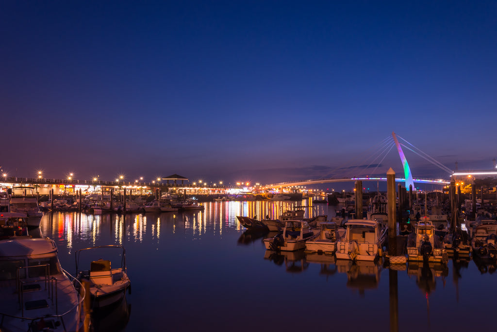 LIVELY HARBOR