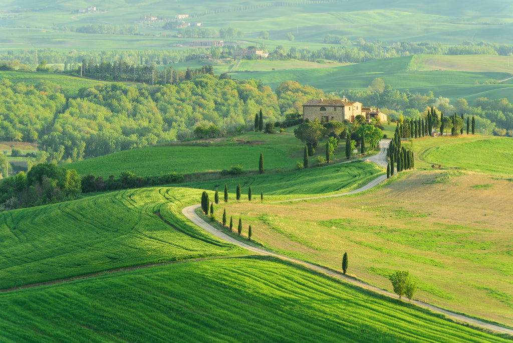 04_GRACEFUL VALLEY