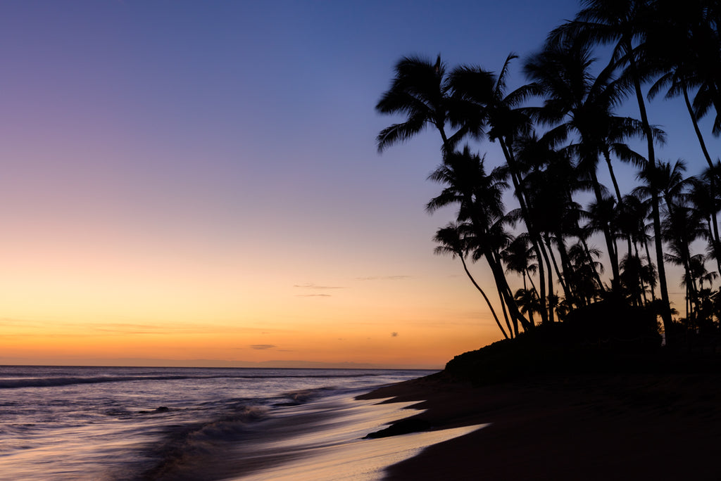 TROPICAL SUNSET