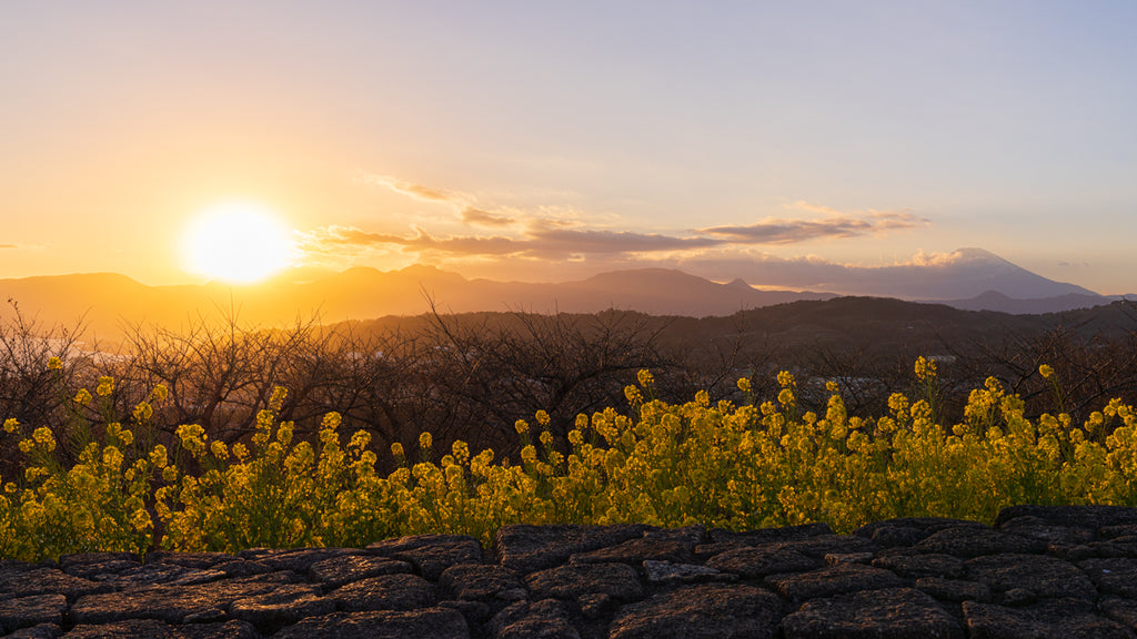 29_NINOMIYA SUNSET