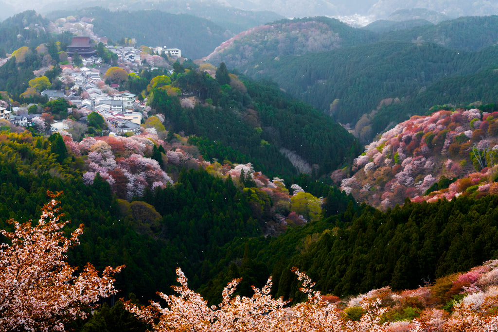 FAIRYLAND