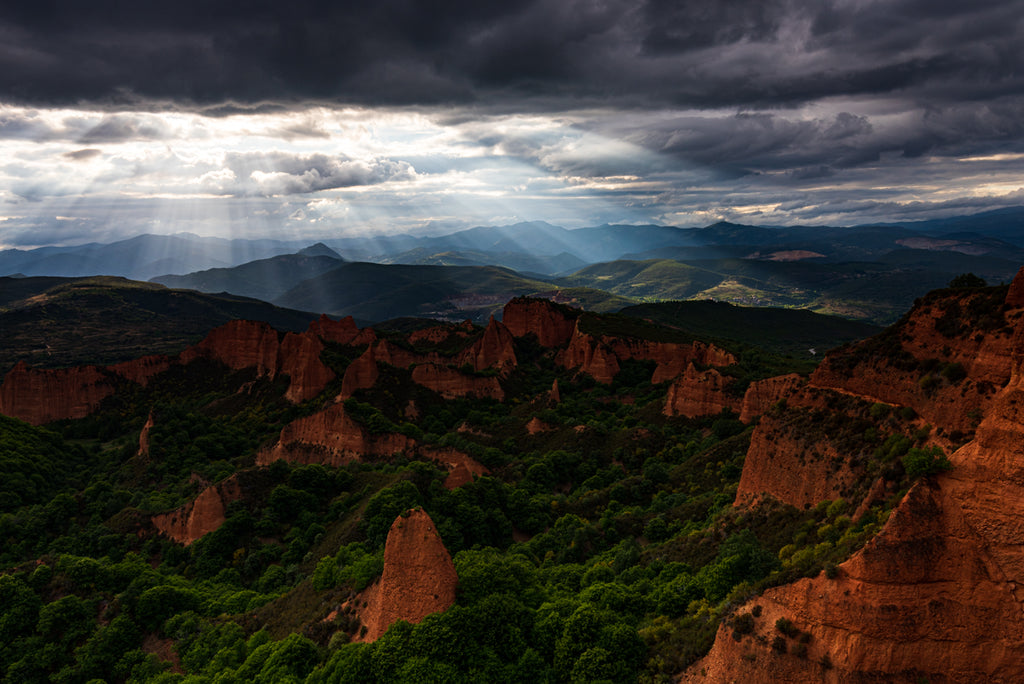 03_AFTER THE RAIN