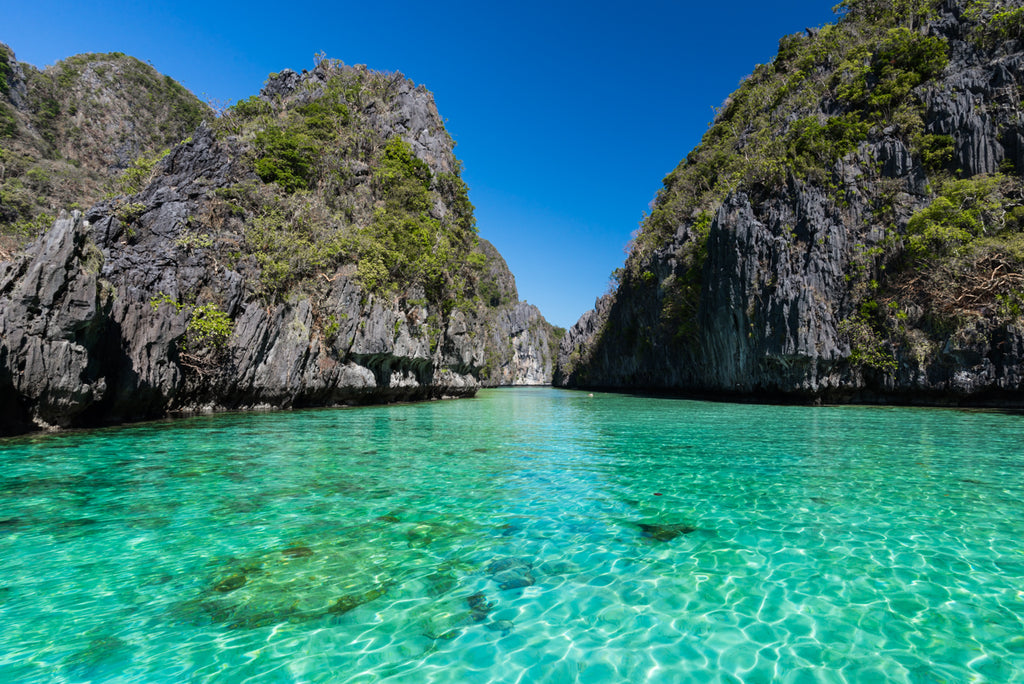 THE LAGOON