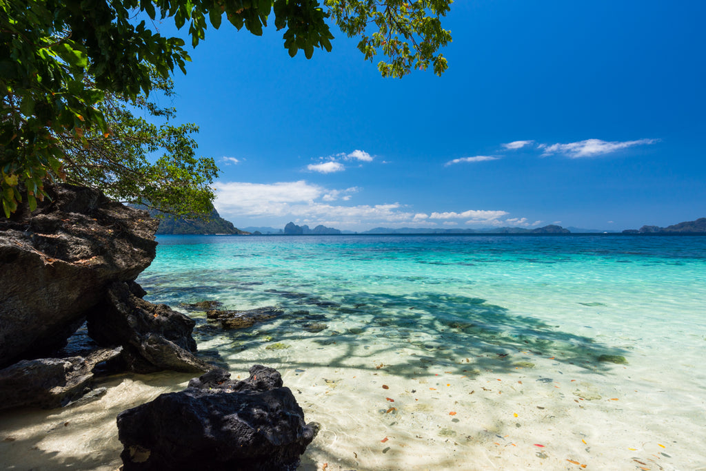 BLUE SHORE